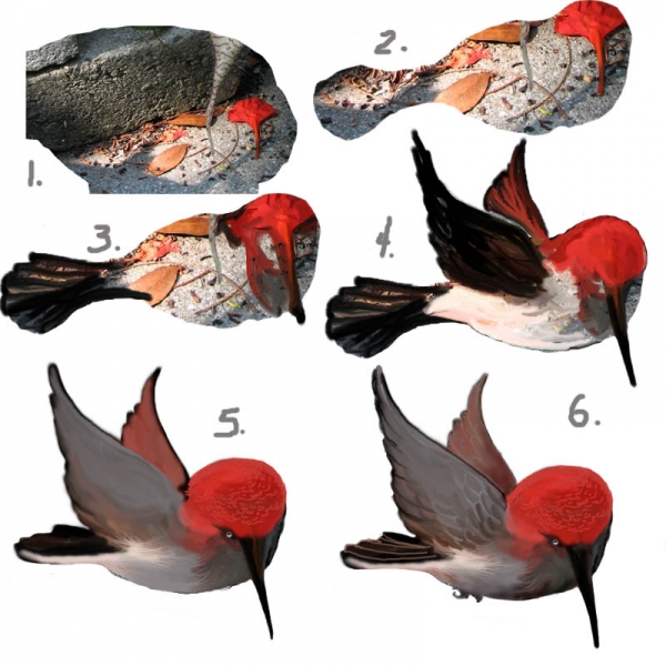 Creation of Hummingbirds and Blossoms: Step 8